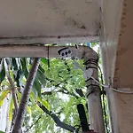 Prasuri Guest House